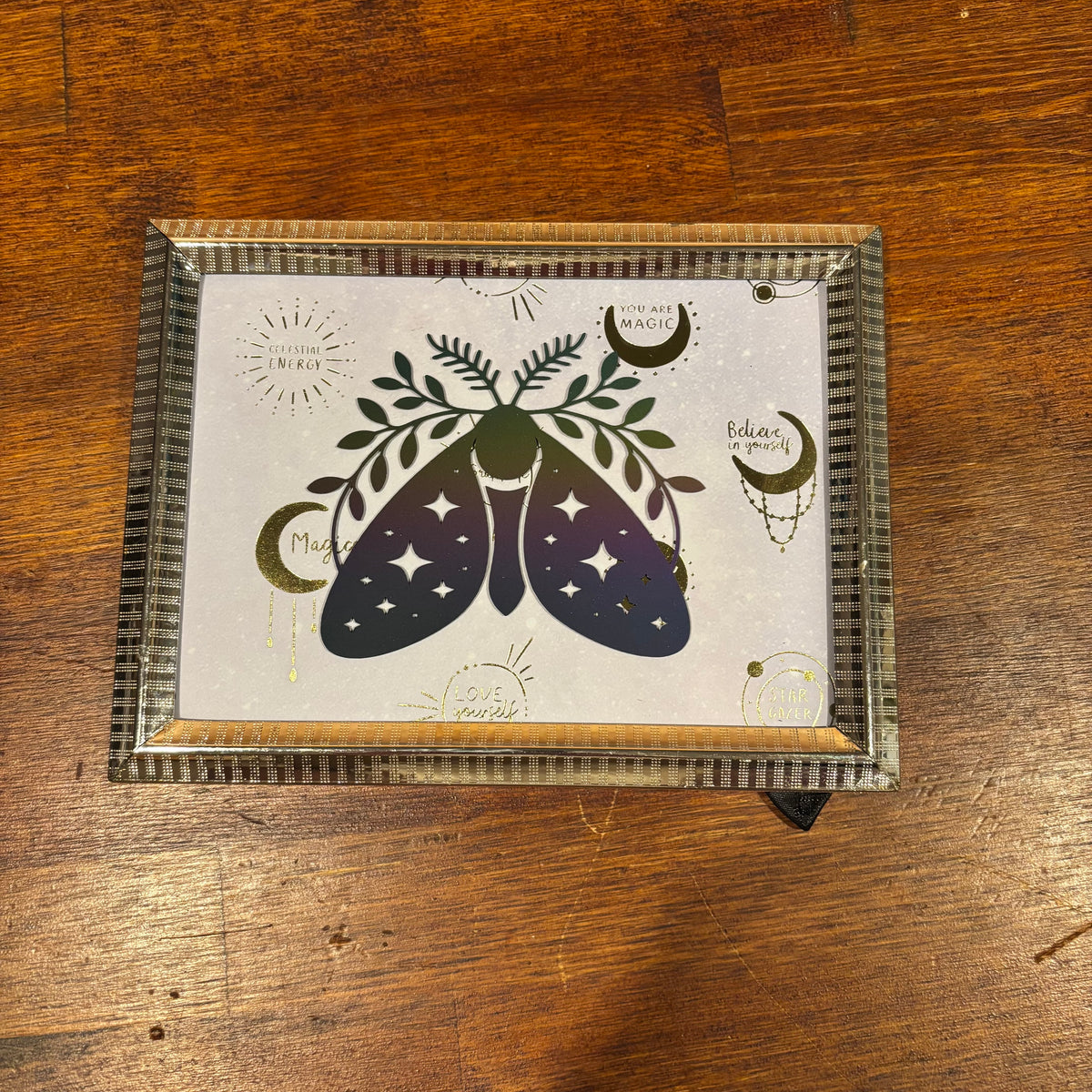 Moth Art