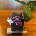 Korok Clay Sculpture Black Pink White