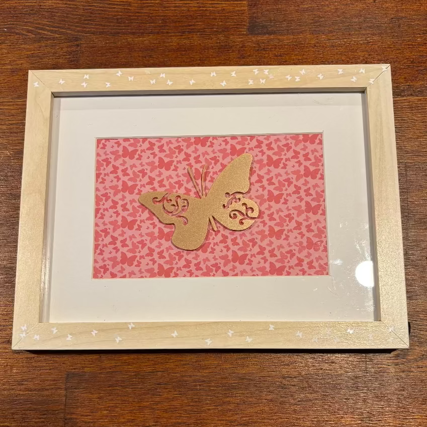 Framed Butterfly Art