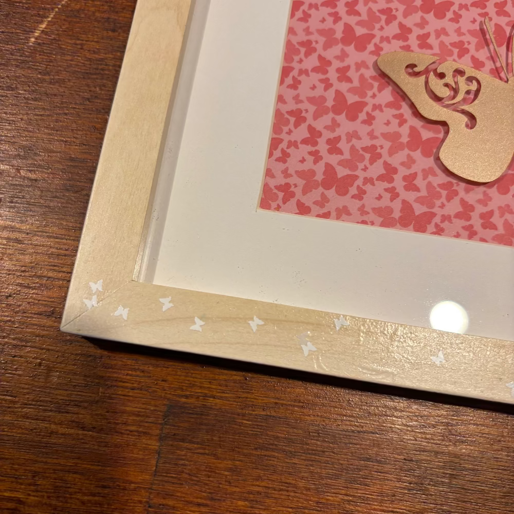 Framed Butterfly Art